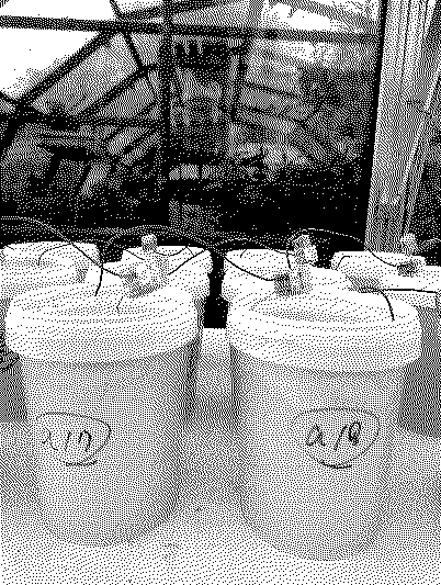 The connected MFC stack in operation, showing a shelf with white containers connected by wires